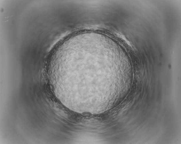 X0000088211256200706051248