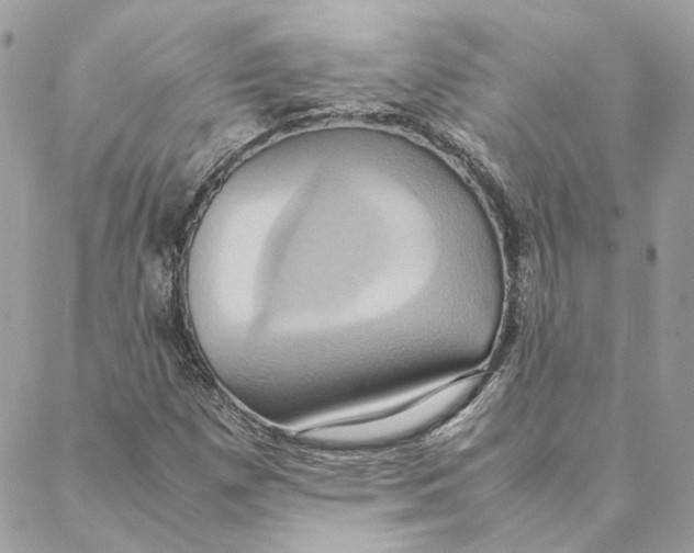 X0000088211257200706051248