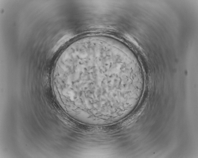 X0000088211259200706051248