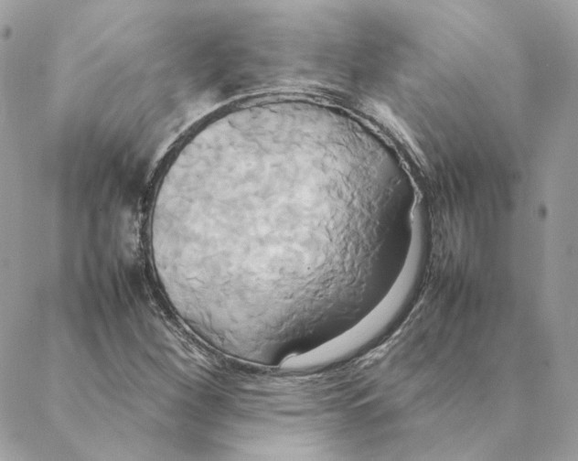 X0000088211260200706051248