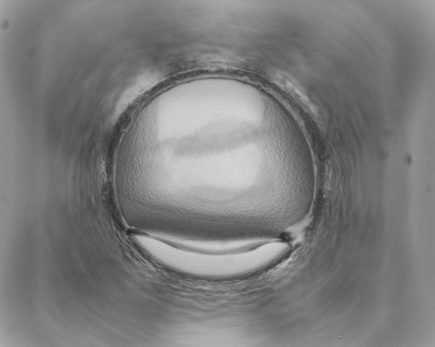 X0000088211261200706051248