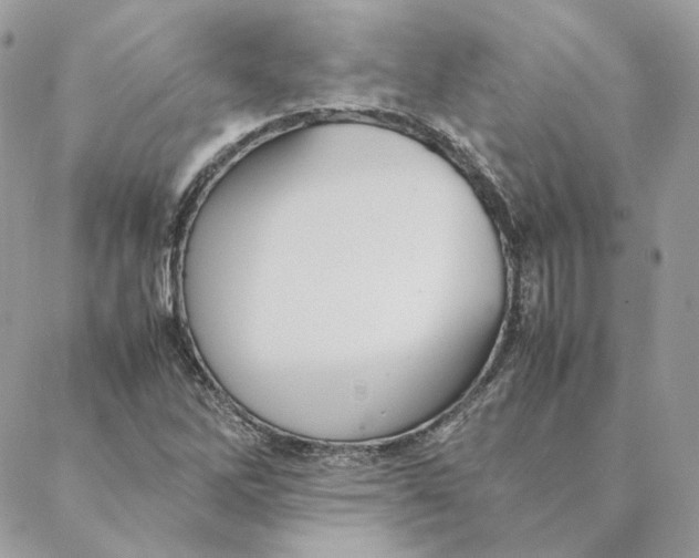 X0000088211262200706051248