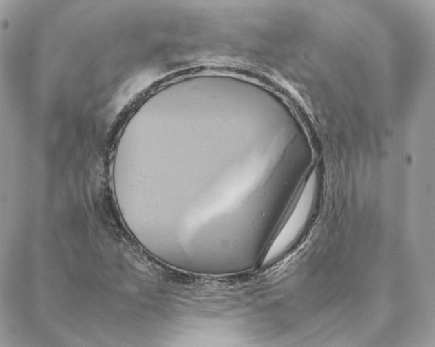 X0000088211263200706051248