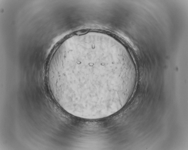 X0000088211264200706051248