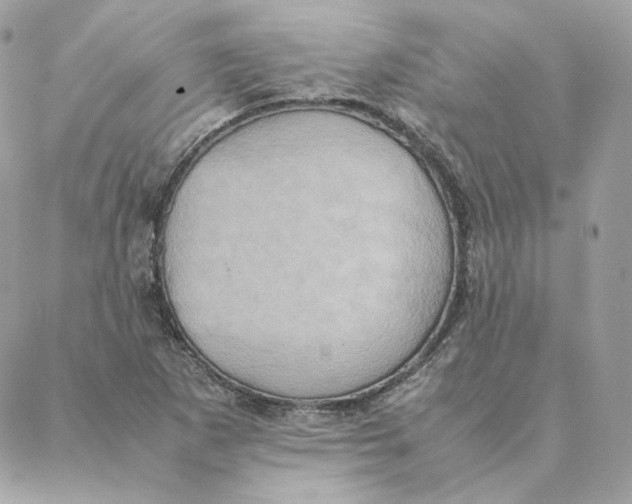 X0000088211265200706051248