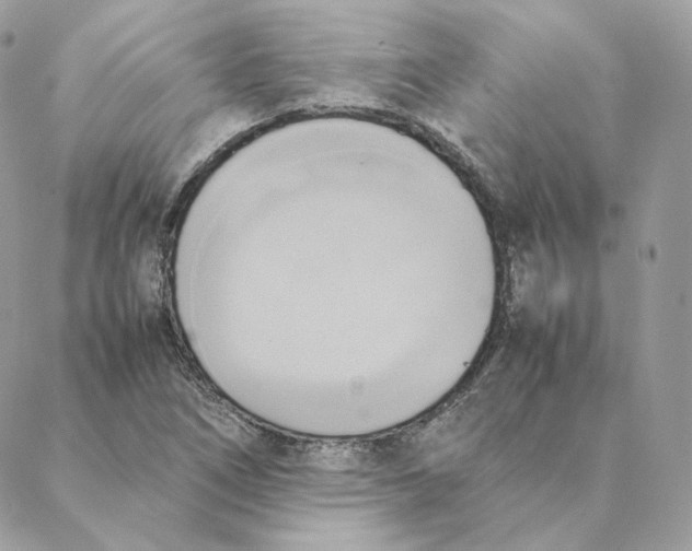 X0000088211266200706051248