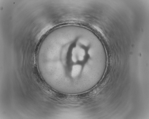 X0000088211267200706051248