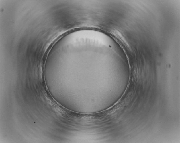 X0000088211268200706051248