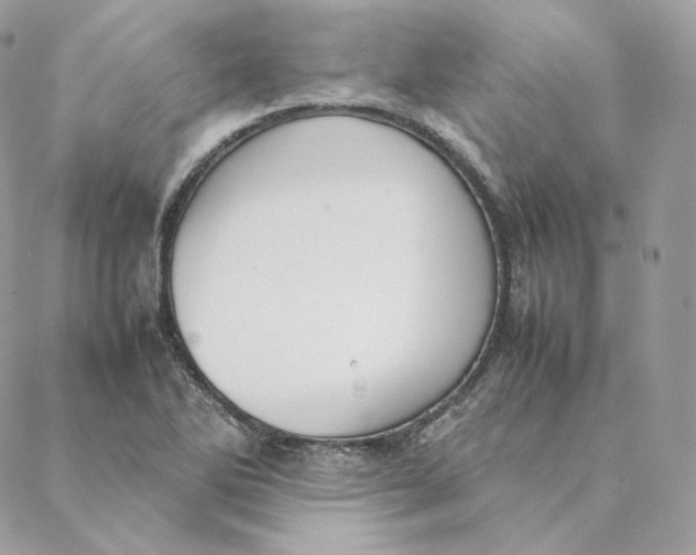 X0000088211270200706051248