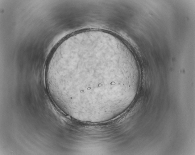 X0000088211272200706051248