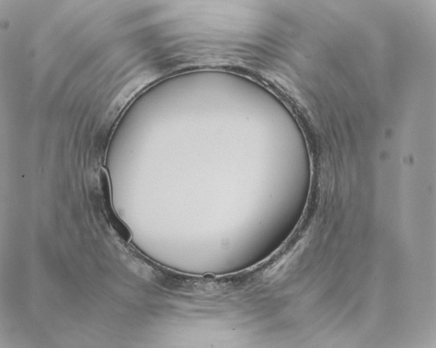 X0000088211273200706051248