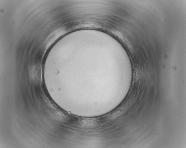 X0000088211274200706051248