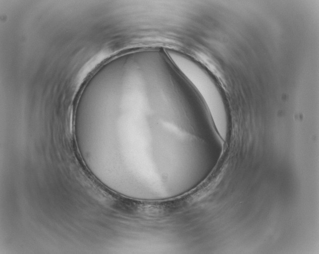 X0000088211275200706051248