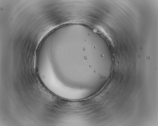 X0000088211276200706051248