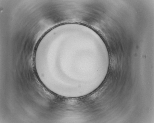 X0000088211278200706051248