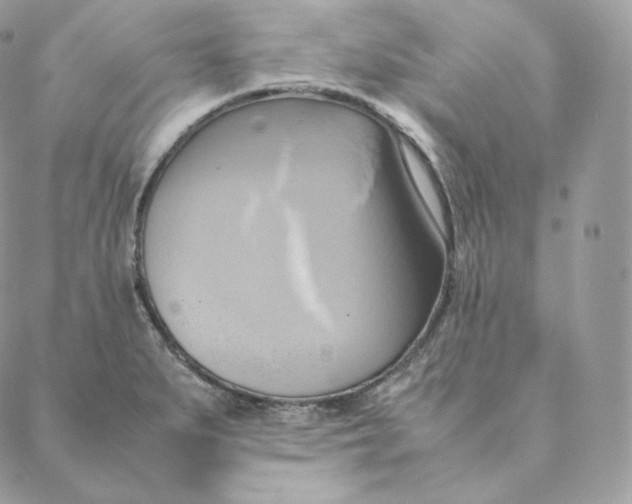 X0000088211279200706051248