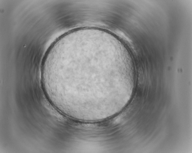 X0000088211280200706051248