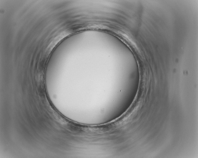 X0000088211281200706051248