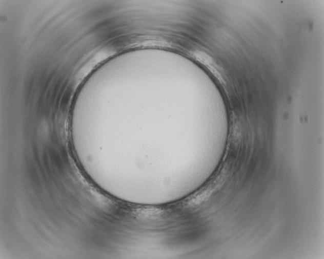 X0000088211282200706051248