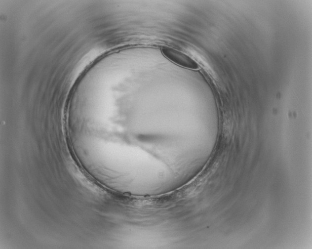 X0000088211283200706051248