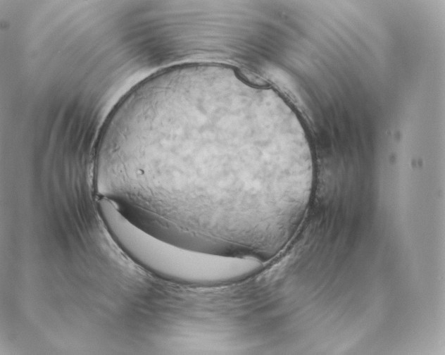 X0000088211284200706051247