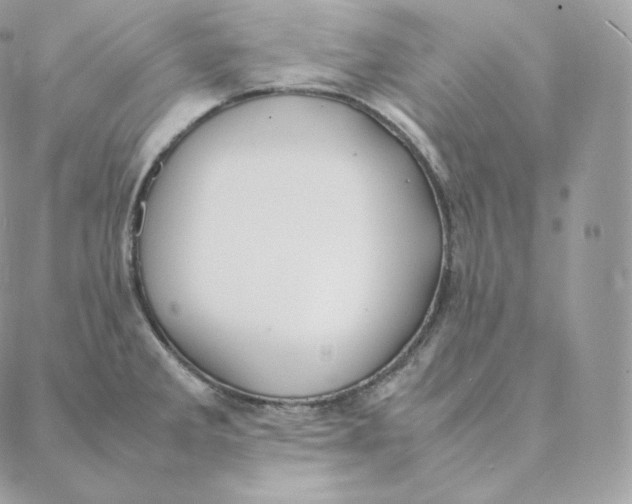 X0000088211285200706051247