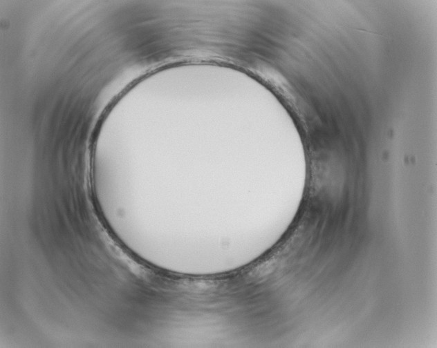 X0000088211286200706051247