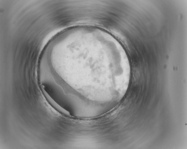 X0000088211288200706051247