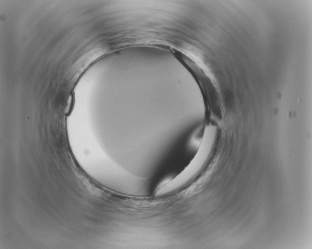 X0000088211289200706051247