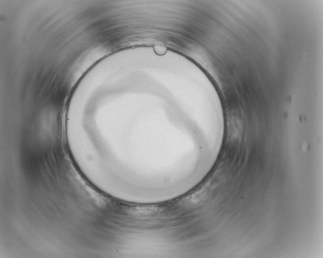 X0000088211290200706051247