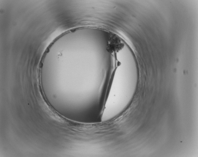 X0000088211291200706051247