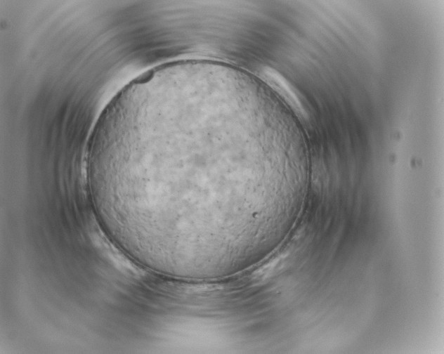 X0000088211292200706051247