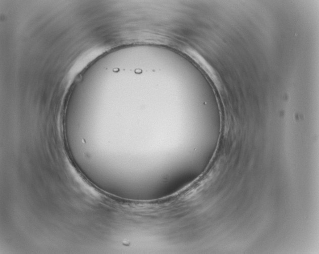 X0000088211293200706051247