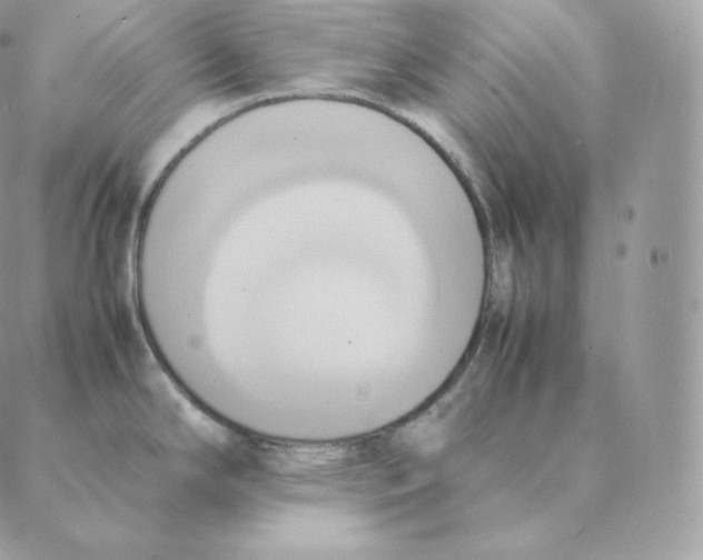 X0000088211294200706051247