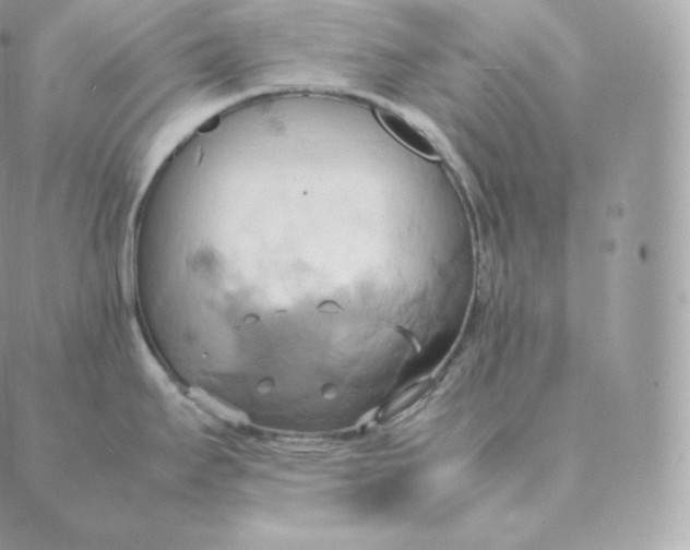 X0000088211295200706051247