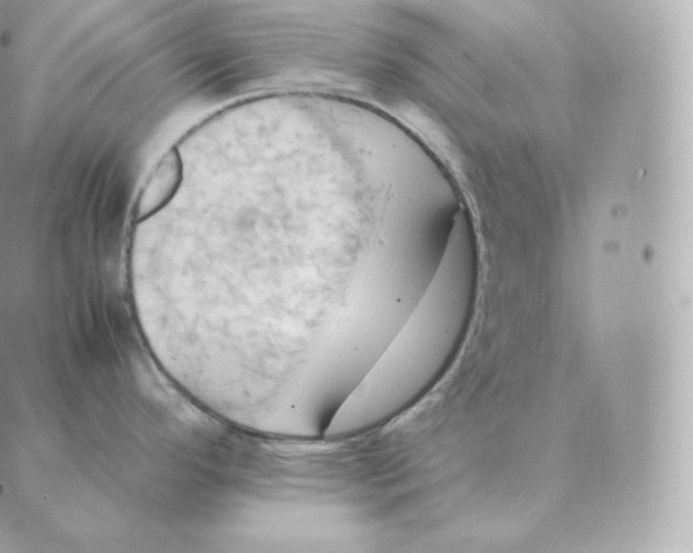 X0000088211296200706051247