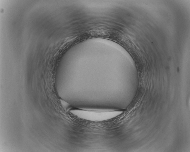 X0000088211297200706051247