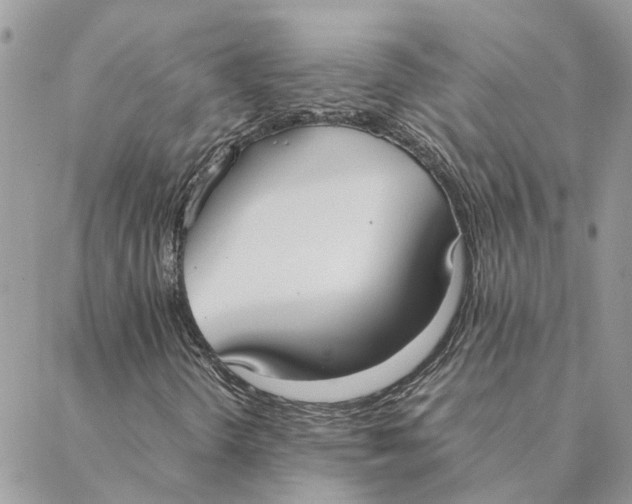 X0000088211298200706051247