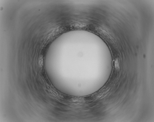 X0000088211299200706051247