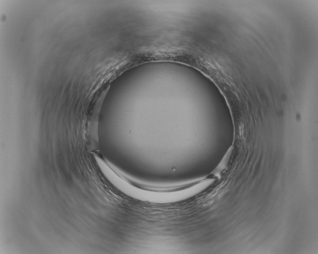 X0000088211300200706051247