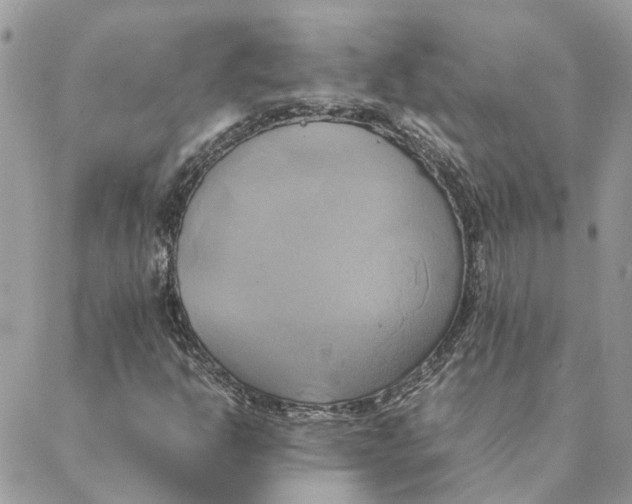 X0000088211302200706051247