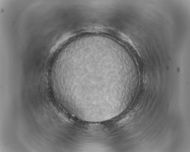 X0000088211304200706051247