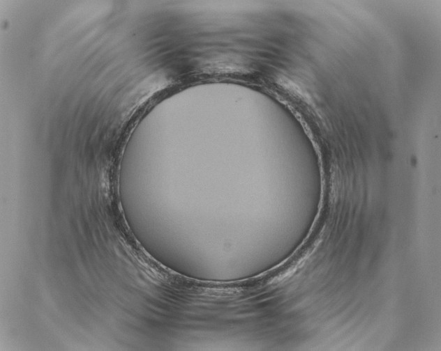 X0000088211305200706051247