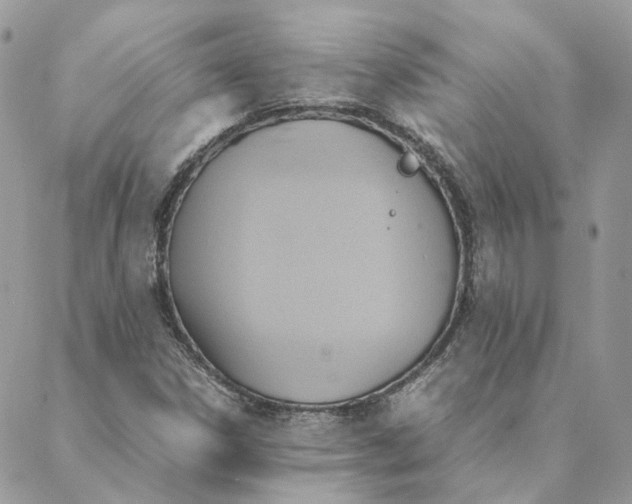 X0000088211306200706051247