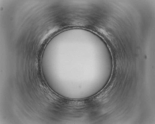 X0000088211307200706051247