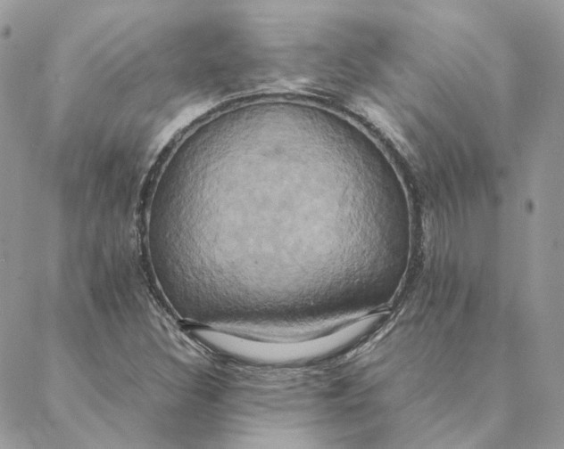 X0000088211308200706051247