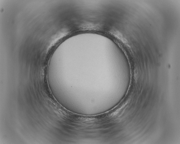 X0000088211309200706051247