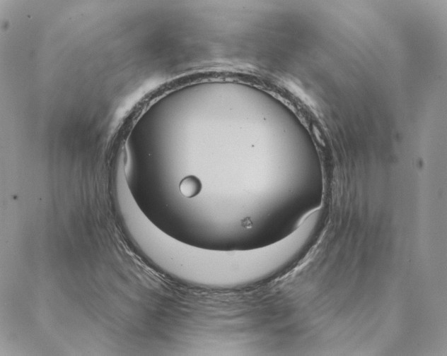 X0000088211310200706051247