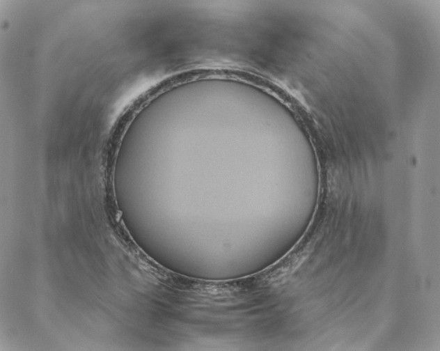 X0000088211311200706051247