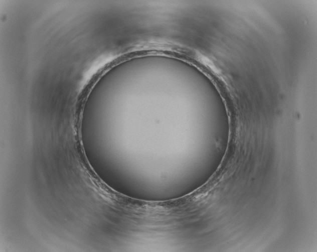 X0000088211312200706051247